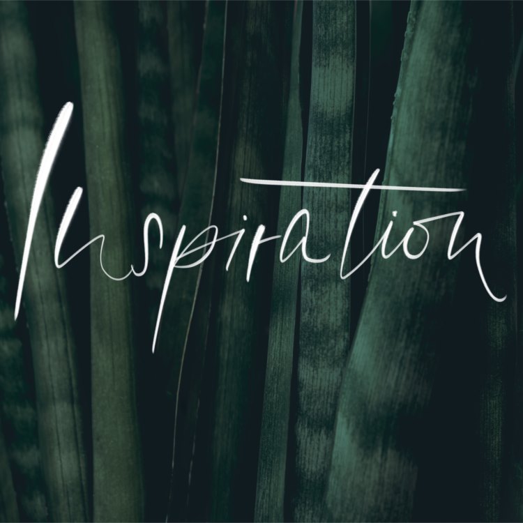 Inspiration - digitales Lettering