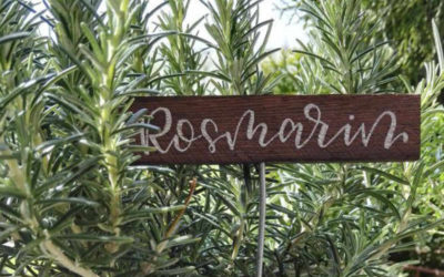 Letter Lovers: donnerletter zu Gast