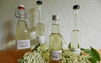 Holunderblütensirup selbermachen mit gratis Etiketten