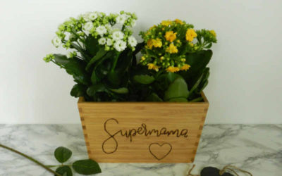 Geschenkidee zum Muttertag: Blumentopf mit Handlettering