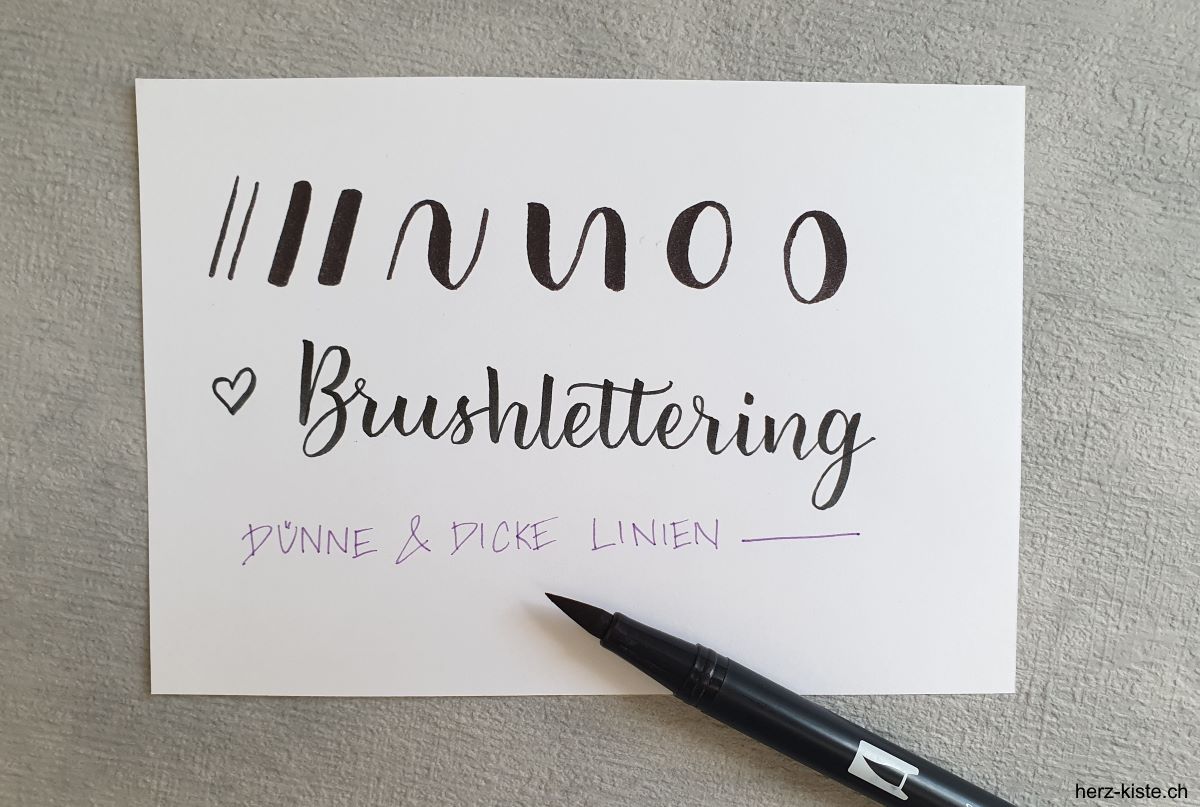 Brush Lettering die Kunst der schönen Schrift mit dünnen und dicken Linien